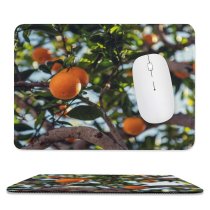 yanfind The Mouse Pad Blur Freshness Tree Focus Fresh Depth Field Hanging Oranges Growth Fruit Selective Pattern Design Stitched Edges Suitable for home office game