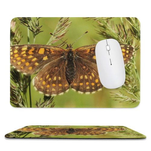 yanfind The Mouse Pad Apiaceae Flora Tree Blossom Grass Plant Butterfly PNG Insect Wings Wallpapers Pattern Design Stitched Edges Suitable for home office game