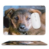 yanfind The Mouse Pad Family Dog Vertebrate Street Carnivore Canidae Mammals Puppy Puppy Potcake Snout Dog Pattern Design Stitched Edges Suitable for home office game