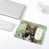 yanfind The Mouse Pad Young Kitty Outdoors Felidae Kitten Tabby Whiskers Wildlife Field Focus Little Blur Pattern Design Stitched Edges Suitable for home office game