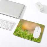 yanfind The Mouse Pad Blur Freshness Forest Little Desktop Grass Light Macro Moss Growth Mycena Toadstool Pattern Design Stitched Edges Suitable for home office game
