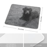 yanfind The Mouse Pad Dog Wildlife Free Wallpapers Helios Bw Images Pictures Bear Pet Grey Pattern Design Stitched Edges Suitable for home office game