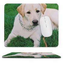 yanfind The Mouse Pad Canidae Dog Grass Vertebrate Grass Carnivore Dog Pattern Design Stitched Edges Suitable for home office game