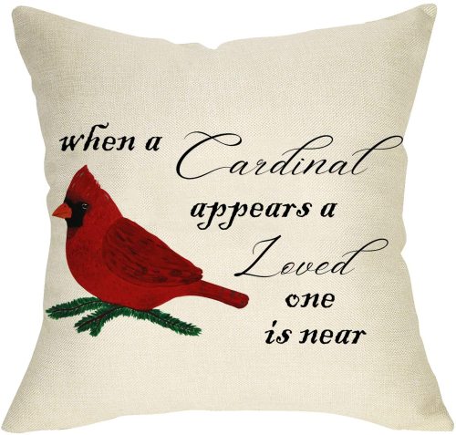 Yanfind When a Cardinal Appears a loved One is Near Home Decorative Throw Pillow Cover Red Bird Sign Cushion Case, Home Decoration Spring Summer Outside Pillowcase Farmhouse Decor for Sofa Couch 18x18