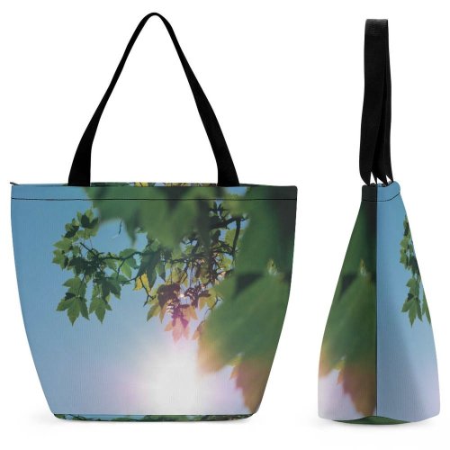 Yanfind Shopping Bag for Ladies Frogner Park Oslo Norway Sunlight Sunshine Sky Leaves Tree Flora Flower Reusable Multipurpose Heavy Duty Grocery Bag for Outdoors.