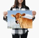 yanfind A3| Cute Calf Poster Print Size A3 Bull Cow Farm Animal Poster