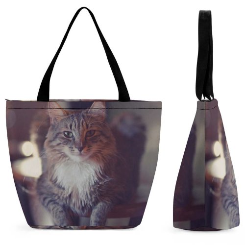 Yanfind Shopping Bag for Ladies Young Stripe Pet Funny Kitten Portrait Tabby Curiosity Cute Staring Sit Cat Reusable Multipurpose Heavy Duty Grocery Bag for Outdoors.