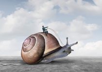 yanfind A3| Surreal Giant Snail Poster Print Size A3 Funny Mens Poster