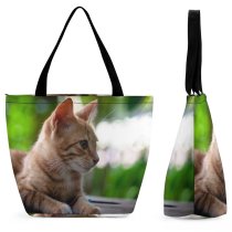 Yanfind Shopping Bag for Ladies Young Pet Funny Portrait Curiosity Cute Little Sit Sleep Cat Whisker Reusable Multipurpose Heavy Duty Grocery Bag for Outdoors.