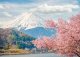 yanfind A3| Mount Fuji Poster Print Size A3 Japan Sakura Nature Poster