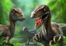 yanfind A3| Velociraptor Poster Size A3 Dinosaur Raptor Kids Poster