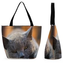 Yanfind Shopping Bag for Ladies Young Pet Funny Kitten Portrait Curiosity Cute Little Staring Sleep Cat Reusable Multipurpose Heavy Duty Grocery Bag for Outdoors.