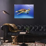 yanfind A2 | Sea Turtle Ocean Nature Underwater - Size A2 Poster Print Photo Art