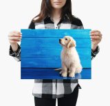 yanfind A3| Cute Golden Retriever Puppy Poster Size A3 Dog Labrador Poster