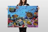 yanfind A1 | Tropical Coral Reef Poster Art Print 60 x 90cm 180gsm Ocean Fish