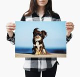 yanfind A4| Cute Brown Chihuahua Poster Size A4 Dog Puppy Funny Poster