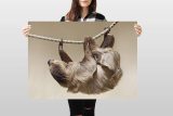 yanfind A1 | Climbing Sloth Poster Art Print 60 x 90cm 180gsm Lazy Animal Fun