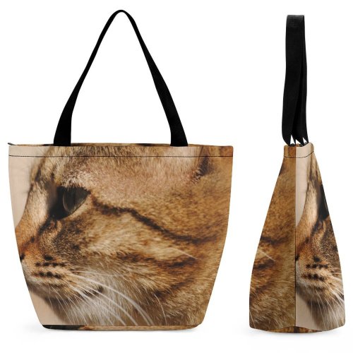 Yanfind Shopping Bag for Ladies Pretty Pose Portrait Playing Pet Kitty Kitten Feral Eyes Cute Cat Baby Reusable Multipurpose Heavy Duty Grocery Bag for Outdoors.
