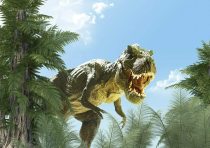 yanfind A3| T-Rex Dinosaur Poster Print Size A3 Jurassic Poster
