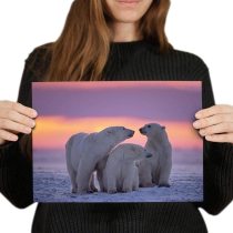 yanfind A4 - Happy Family Polar Bear Winter Sunset Art Print 29.7 X 21 cm 280gsm satin gloss photo paper