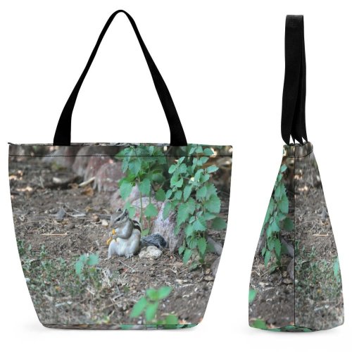 Yanfind Shopping Bag for Ladies Ground Plant Indroda Ghandhinagar India Rodent Squirrel Cat Pet Wildlife Jb_pix Birds Reusable Multipurpose Heavy Duty Grocery Bag for Outdoors.