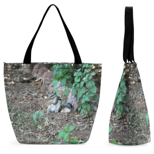 Yanfind Shopping Bag for Ladies Ground Plant Indroda Ghandhinagar India Rodent Squirrel Cat Pet Wildlife Jb_pix Birds Reusable Multipurpose Heavy Duty Grocery Bag for Outdoors.