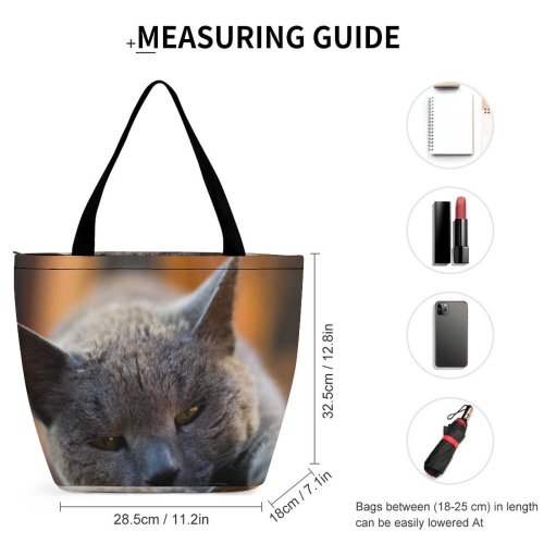 Yanfind Shopping Bag for Ladies Young Pet Funny Kitten Portrait Curiosity Cute Little Staring Sleep Cat Reusable Multipurpose Heavy Duty Grocery Bag for Outdoors.