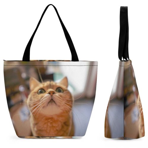 Yanfind Shopping Bag for Ladies Young Studio Pet Funny Kitten Portrait Cute Little Face Pretty Whisker Reusable Multipurpose Heavy Duty Grocery Bag for Outdoors.