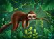 yanfind A3| Cartoon Sleepy Sloth Poster Print Size A3 Wild Animal Poster
