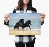 yanfind A3| Shire Horses Poster Size A3 Beautiful Animal Ocean Poster