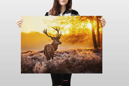 yanfind A1 | Winter Stag Poster Art Print 60 x 90cm 180gsm Deer Wildlife Forest