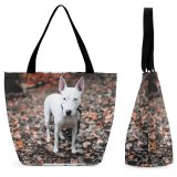Yanfind Shopping Bag for Ladies Ground Dog Leaf Plant Pet Strap Volkspark Marienberg Marienbergstrae Nürnberg Deutschland Tree Reusable Multipurpose Heavy Duty Grocery Bag for Outdoors.