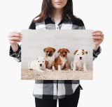 yanfind A4| Cute Staffie Puppies Poster Size A4 Dog Puppy Animal Poster