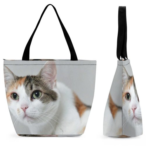 Yanfind Shopping Bag for Ladies Young Pet Funny Kitten Portrait Curiosity Cute Little Staring Sit Whisker Reusable Multipurpose Heavy Duty Grocery Bag for Outdoors.