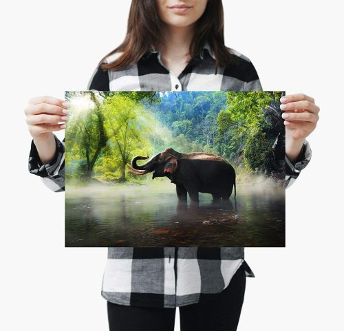 yanfind A3| Elephant Poster Print Size A3 Jungle Wild Animal Poster