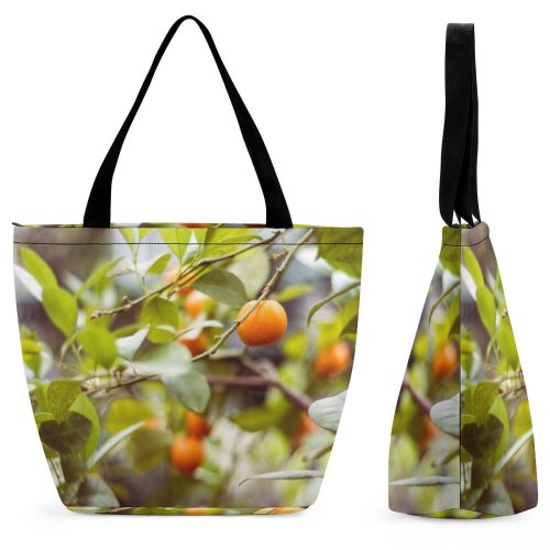 Yanfind Shopping Bag for Ladies Fruits Plant Persimmon Flora Produce Citrus Fruit Grapefruit Apricot Botanical Garden-Institute Vladivostok Reusable Multipurpose Heavy Duty Grocery Bag for Outdoors.