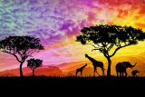 yanfind A1 | African Safari Poster Art Print 60 x 90cm 180gsm Wild Africa