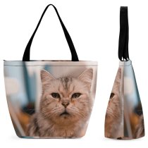 Yanfind Shopping Bag for Ladies Young Pet Funny Kitten Portrait Curiosity Cute Little Sit Cat Pretty Reusable Multipurpose Heavy Duty Grocery Bag for Outdoors.