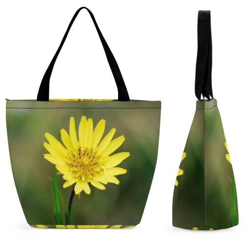Yanfind Shopping Bag for Ladies Flower Flowering Plant Petal Flatweed Dandelion Wildflower Crepis Paludosa Reusable Multipurpose Heavy Duty Grocery Bag for Outdoors.