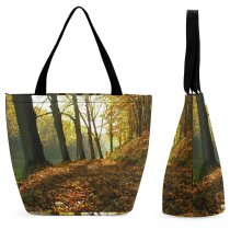 Yanfind Shopping Bag for Ladies Foliage Sunlight Walk Tree Natural Landscape Deciduous Leaf Forest Woodland Autumn Reusable Multipurpose Heavy Duty Grocery Bag for Outdoors.
