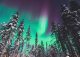 yanfind A1| Forest Northern Lights Poster Size 60 x 90cm Nature Poster
