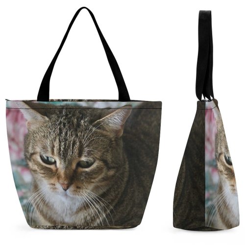 Yanfind Shopping Bag for Ladies Young Pet Kitten Portrait Tabby Cute Little Staring Sit Sleep Cat Reusable Multipurpose Heavy Duty Grocery Bag for Outdoors.