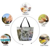Yanfind Shopping Bag for Ladies Young Pet Funny Kitten Portrait Tabby Curiosity Cute Staring Cat Whisker Reusable Multipurpose Heavy Duty Grocery Bag for Outdoors.