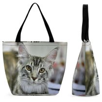 Yanfind Shopping Bag for Ladies Young Pet Funny Kitten Portrait Tabby Curiosity Cute Staring Cat Whisker Reusable Multipurpose Heavy Duty Grocery Bag for Outdoors.