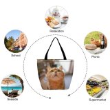 Yanfind Shopping Bag for Ladies Young Studio Pet Funny Kitten Portrait Cute Little Face Pretty Whisker Reusable Multipurpose Heavy Duty Grocery Bag for Outdoors.