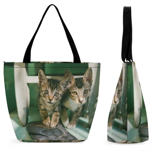 Yanfind Shopping Bag for Ladies Young Tabby Whiskers Curiosity Cute Little Adorable Kittens Furry Face Cat Fur Reusable Multipurpose Heavy Duty Grocery Bag for Outdoors.
