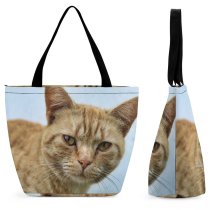 Yanfind Shopping Bag for Ladies Young Pet Funny Kitten Portrait Tabby Curiosity Cute Little Staring Cat Reusable Multipurpose Heavy Duty Grocery Bag for Outdoors.