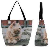 Yanfind Shopping Bag for Ladies Young Pet Funny Outdoors Street Kitten Portrait Cute Little Sit Cat Reusable Multipurpose Heavy Duty Grocery Bag for Outdoors.