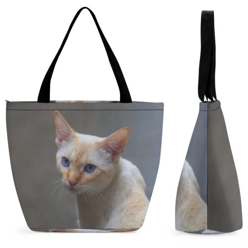 Yanfind Shopping Bag for Ladies Young Pet Funny Kitten Portrait Wildlife Curiosity Cute Little Staring Cat Reusable Multipurpose Heavy Duty Grocery Bag for Outdoors.