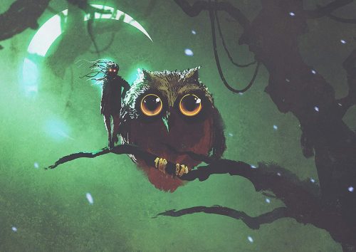 yanfind A1 | Abstract Mysterious Owl Painting Poster Art Print 60 x 90cm 180gsm